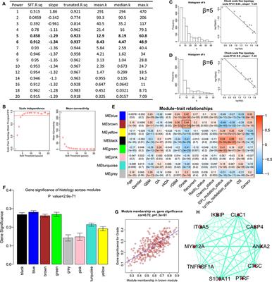 Integrated Transcriptome Analyses and Experimental Verifications of Mesenchymal-Associated TNFRSF1A as a Diagnostic and Prognostic Biomarker in Gliomas